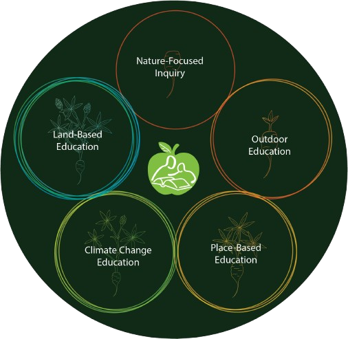 Nature-Based_Learning__1_-removebg-preview.png