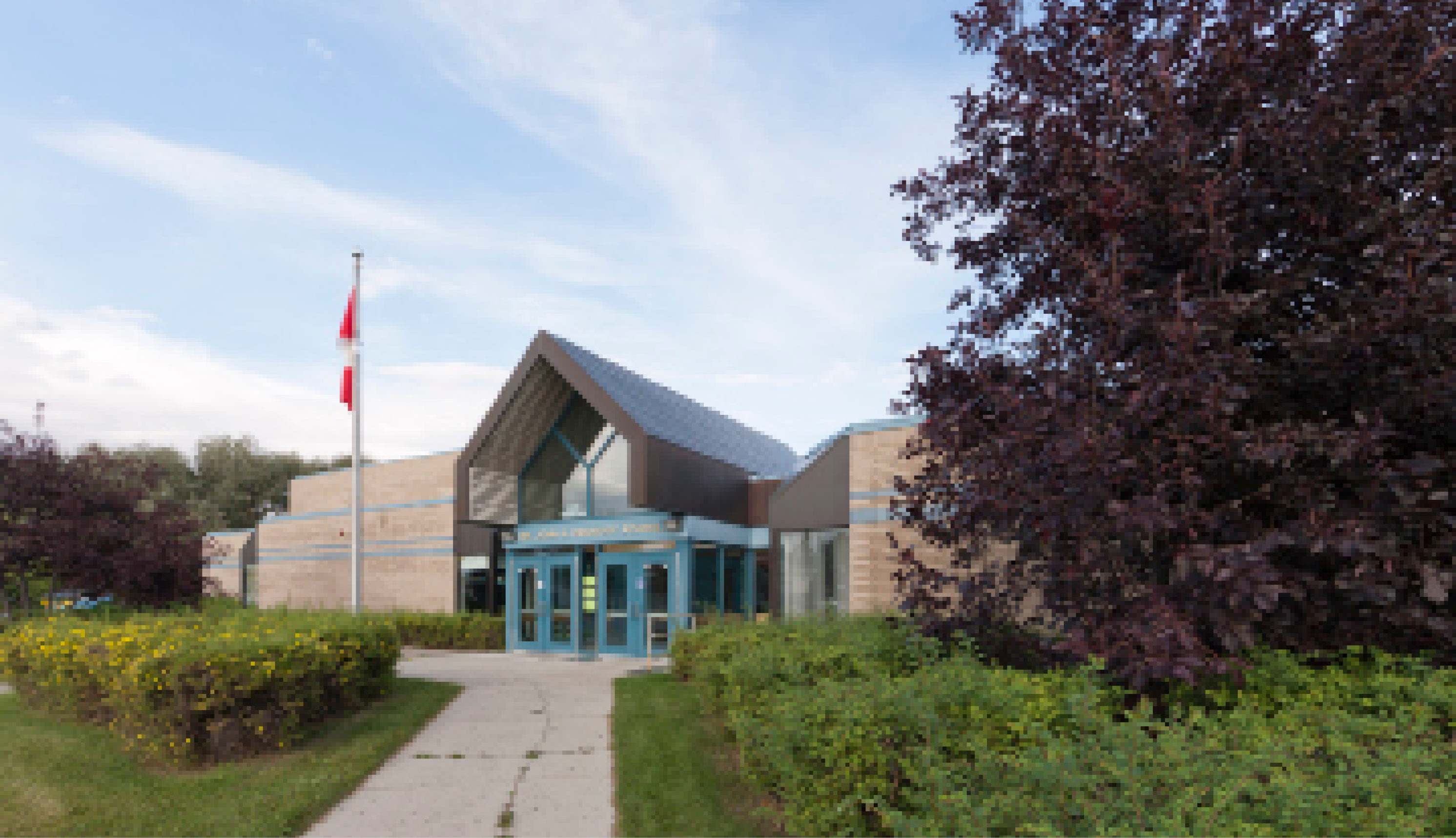 school picture