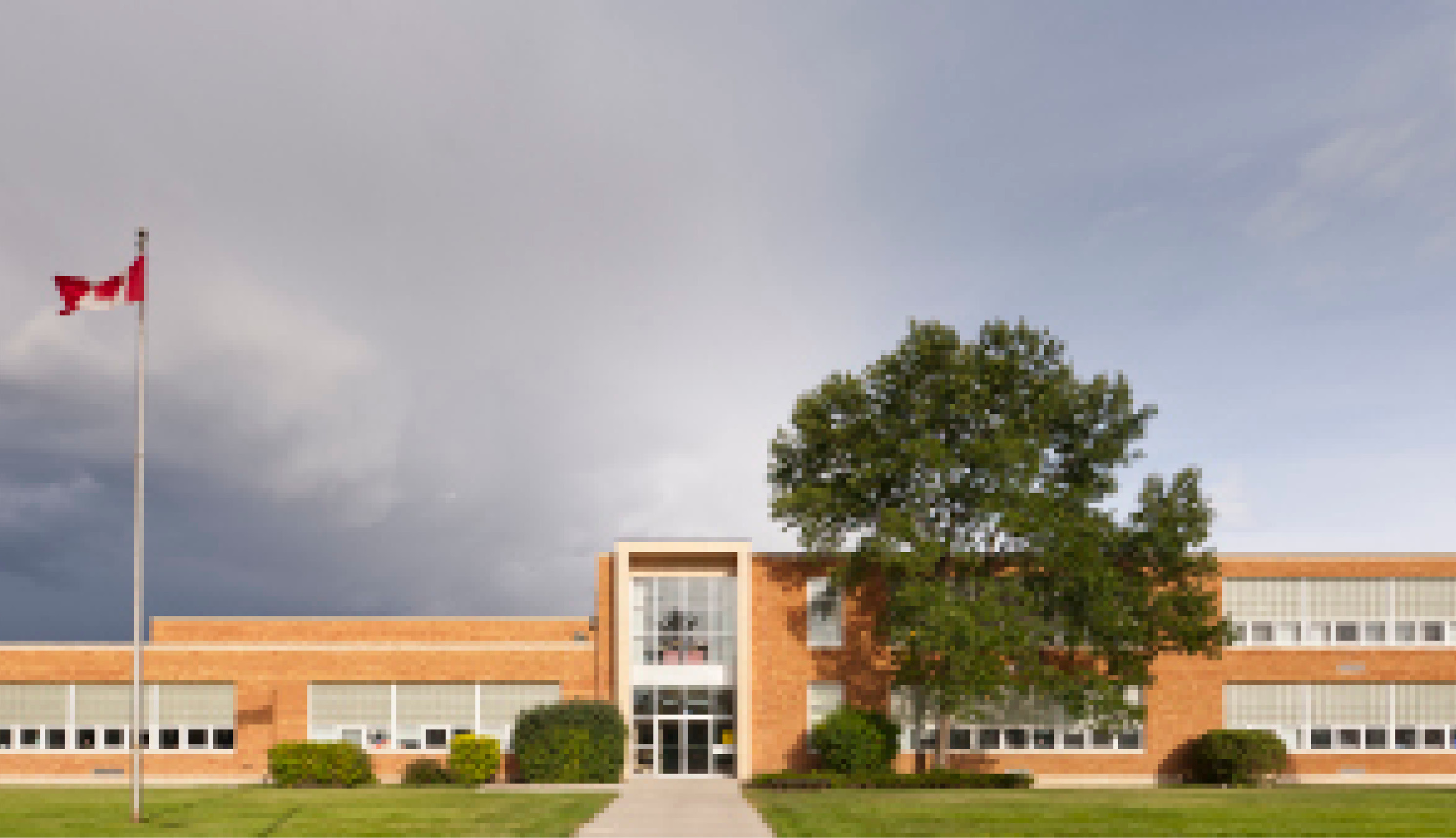 school picture
